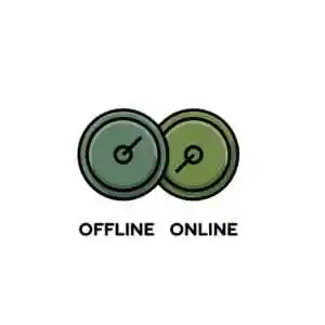 Offline & Online Modes